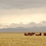 Mongolsko je nedotčenou destinací