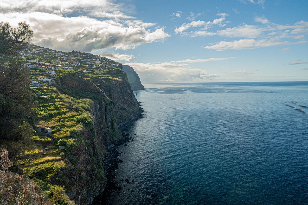 madeira